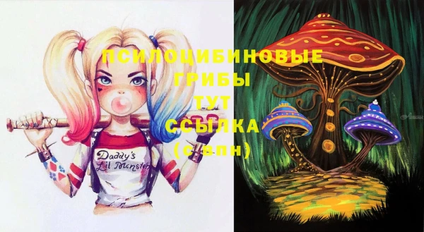 шишки Тихвин