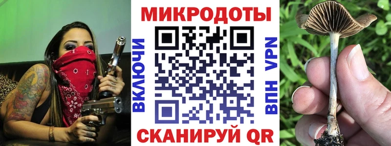 Купить где  Калач  Галлюциногенные грибы MAGIC MUSHROOMS 